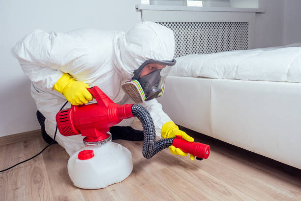 Best Residential Pest Control  in Highwood, IL